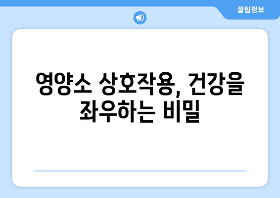 영양소의 상호작용과 건강에 미치는 영향