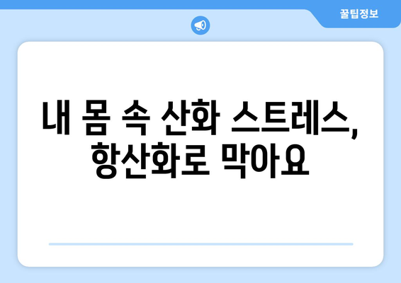 노화 방지를 위한 항산화 식품의 중요성