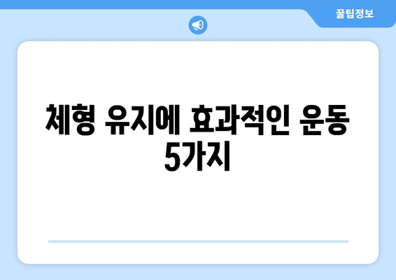 건강한 체형 유지를 위한 효과적인 운동 루틴