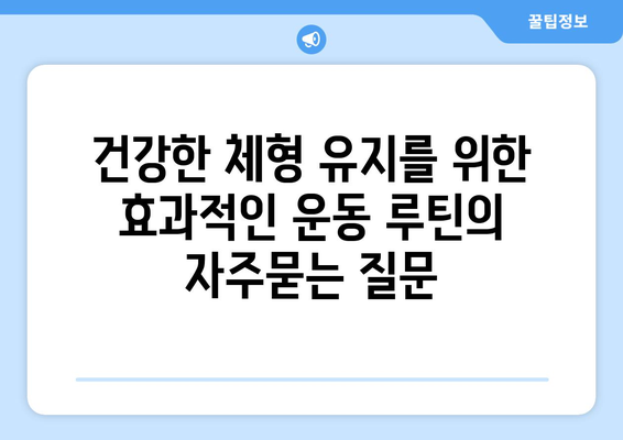 건강한 체형 유지를 위한 효과적인 운동 루틴