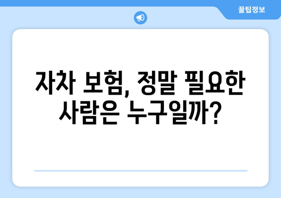 자동차 보험의 자차담보, 보장 한도와 현실적 필요 분석